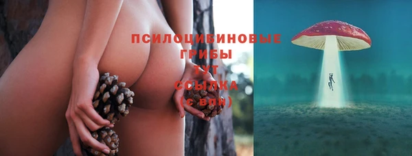 гидропоника Алексеевка