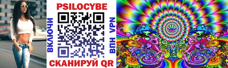 магазин продажи наркотиков  Дедовск  Галлюциногенные грибы MAGIC MUSHROOMS 